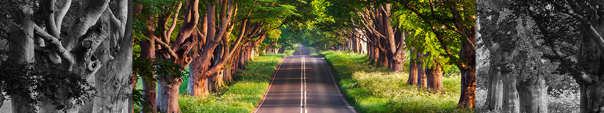 Carretera comarca sin tráfico